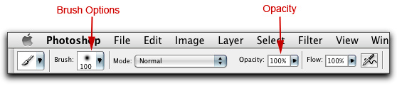 Screen shot of Photoshop Tools Panel and Brush Tool Options and Opacity.
