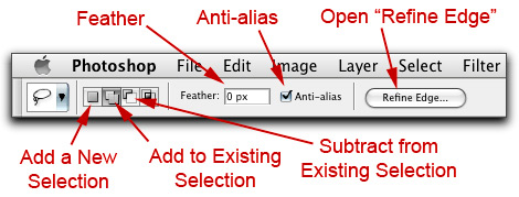 Screen shot of the Photoshop Lasso Tool options in the Option Bar.