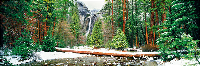 Muir's Window: winter snow image of waterfall, stream and pine trees by Jeff Mitchum.