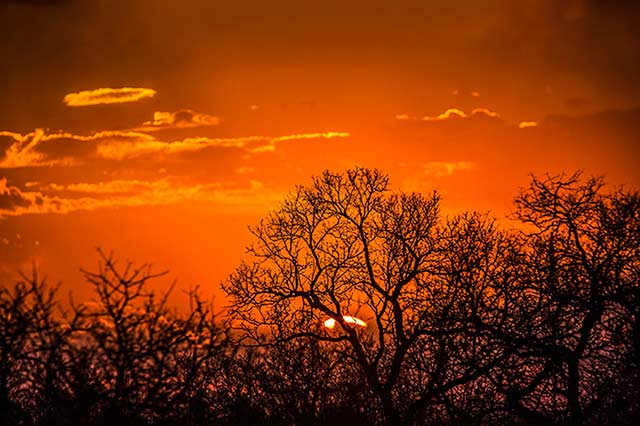 Brilliant red and orange sunset in Pilanesberg National Park in South Africa by Noella Ballenger.