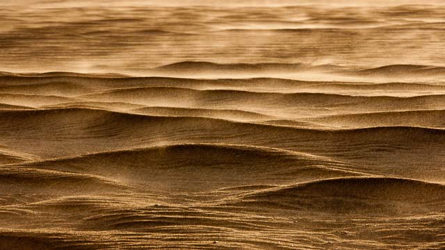 Close-up of a sand storm in Sinai, Egypt by Omar Attum.