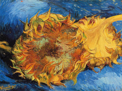 Image of Two Sunflowers by Van Gogh (1887).