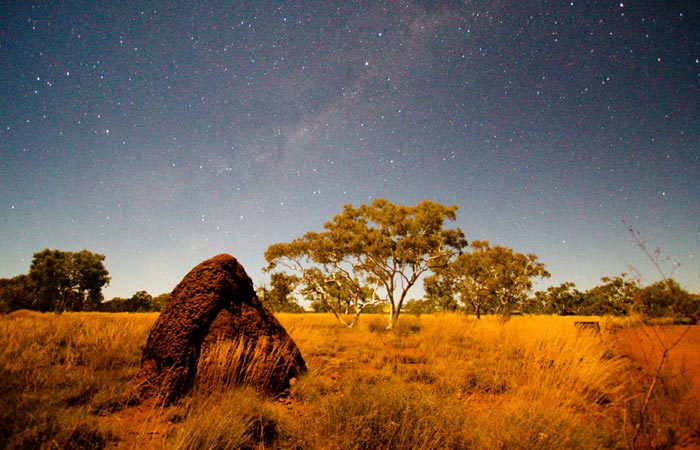 Photo of termite mound and night sky, Western Australia by Barry Epstein