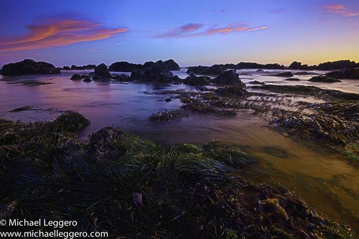 Photoshop manipulated photo: Ocean seawee beds by Michael Leggero