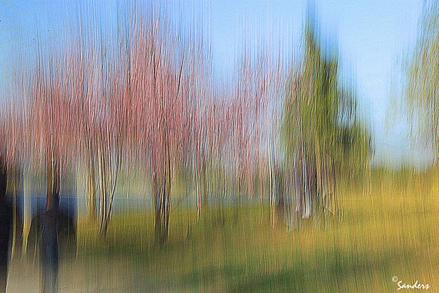 Photo Impressionism technique: image of couple and trees where camera shake and oversharpening created an impressionistic effect by Gerald Sanders.