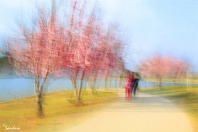 Photo Impressionism and camera shake technique: image of couples on a path lined with pink flowering trees near Lake Balboa by Gerald Sanders.