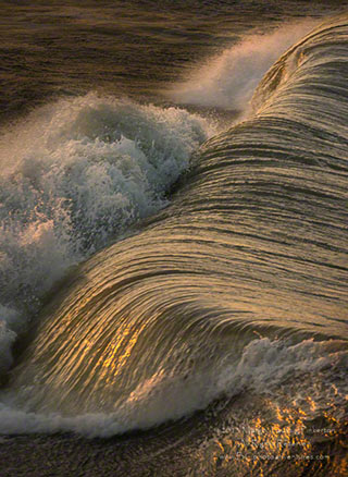 A higher shutter speed picks up the golden details of a wave at the Outer Banks in North Carolina by Margo Taussig Pinkerton.