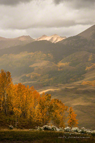 Fall landscape photo of the trees, hills and mountains of Colorado by Margo Taussig Pinkerton.