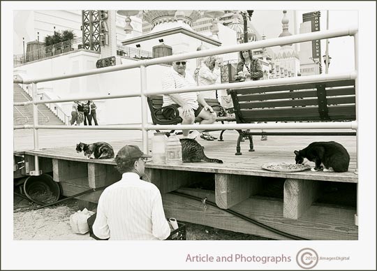 Photo of “Alley Cats”, Boardwalk, Atlantic City, New Jersey by Jim Austin