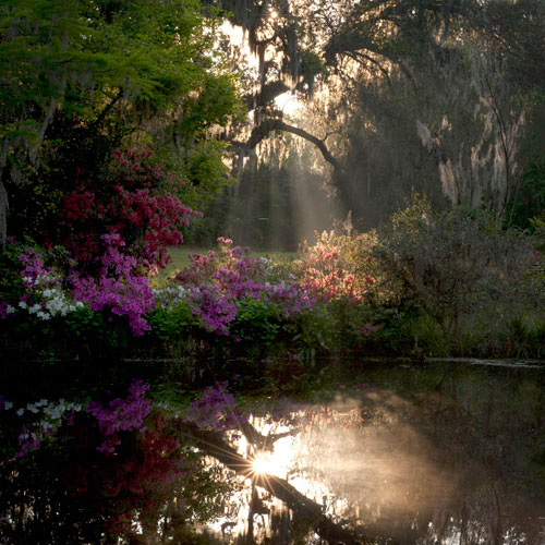 Landscape, flower and sunrise reflection photo by Phyllis Peterson