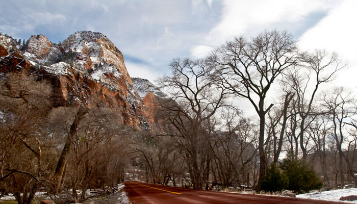 Landscape photo of road going into Zion National Park, Utah by Noella Ballenger