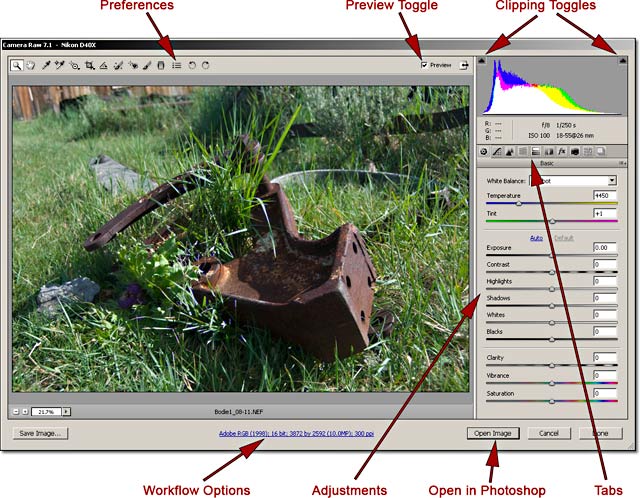 RAW Fundamentals: Screen shot of Camera RAW file in Photoshop Bridge program by John Watts. image in 