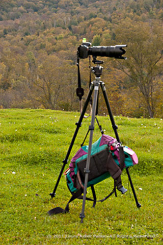 Image of camera on a tripod weighted down with a camera bag by Laura Adler Palka.