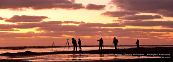 Silhouette photo of people and tripods on the beach at sunrise by Margo Taussig Pinkerton.