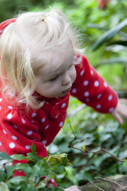 Close-up photo portrait of a toddler in a red and white polka dot top - outside crawling through plants by Cathy Topping.