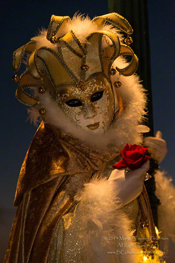 A person dressed in an elaborate gold and white costume for the Venetian Carnival in Venice, Italy by by Margo Taussig Pinkerton.