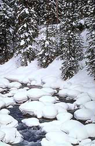 Image of a snowy scene at Soda Butte Creek in Wyoming by Brenda Tharp
