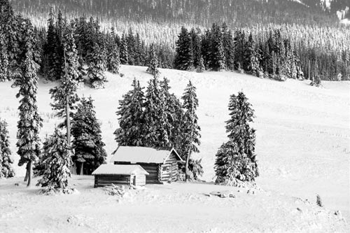 Black and white photo of cabin in woods by Andy Long