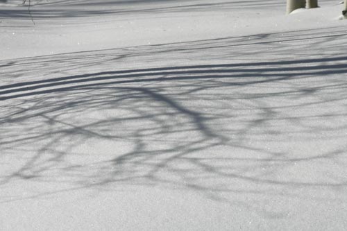 Photo of snow and tree shadows image with increased exposure compensation by Andy Long