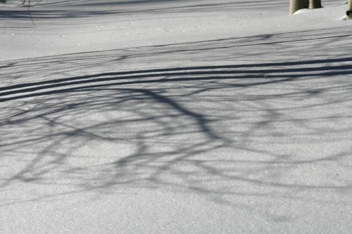 Photo of snow and tree shadows image using Photoshop levels by Andy Long