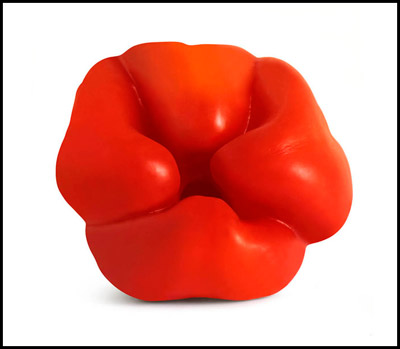 Photo of pepper titled "Comfortable" by Piero Leonardi
