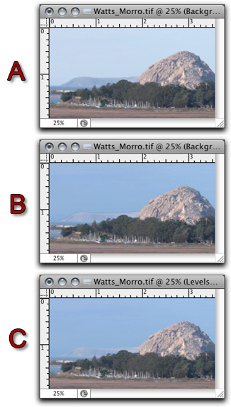 Screen shot of Photoshop's Refine Edge tool examples by John Watts