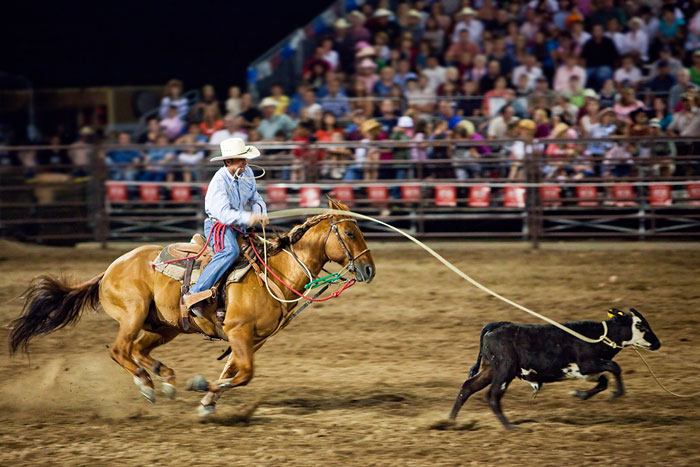 Stop action photography: Cowboy roping calf by Brad Sharp.