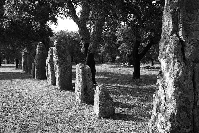 Photo of a row of menhirs in the archeological park Pranu Muteddu, Goni, Cagliari by John Tollefsen