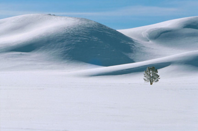 Landscape image of a lone tree in a blanket of snowy hills by Andy Long.