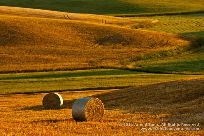 Photo of hay field and bales of hay in Tuscany, Italy by Arnold Zann.