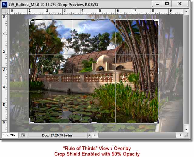 Photoshop CS6 - Innovative New Crop Tool: screen shot of lily pond and showing rule of thirds / Overlay with Crop Shield Enabled by John Watts.
