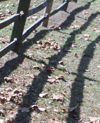 Photo of fence shadows by Jim Austin
