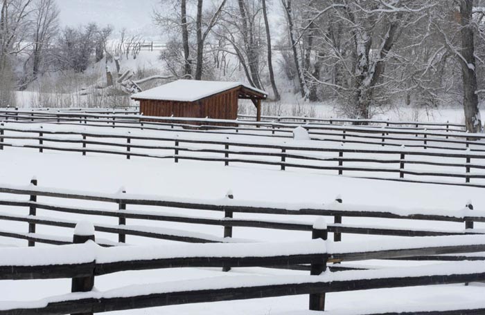 Photo of wood fence and corrals in snow by Andy Long
