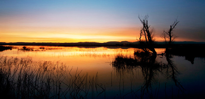Sunset water reflection photo at the Sacremento Wildlife Preserve by Noella Ballenger