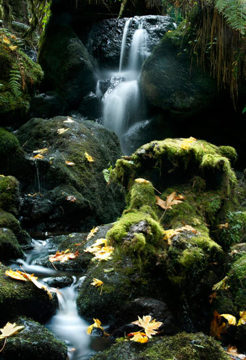 Photo of waterfall at Trillium Falls in Northern California by Noella Ballenger