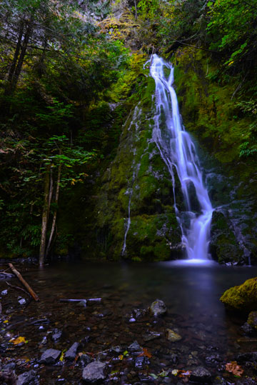 Waterfall photo at Madison Fall, Olympic National Park, Washington by Michael Leggero