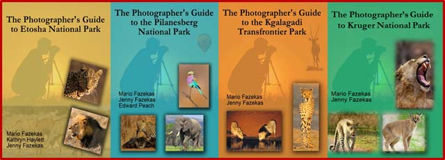 eBook Covers: The Photographer's Guides... photographing in Southern Africa.