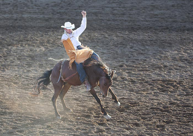 Close-up photo of a bronco rider on a bucking horse by Brad Sharp.
