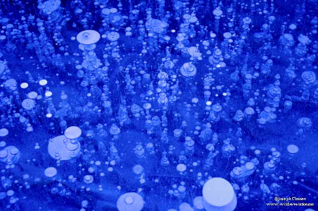 Blue abstract image of frozen bubbles in a slab of ice along a river on Kodiak Island, Alaska by Joseph Classen