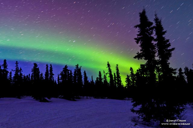 The rainbow colors of the Aurora Borealis in dark winter sky on Kodiak Island, Alaska by Joseph Classen