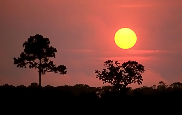Red and orange sunset with silhouette of landscape by Willis T. Bird.