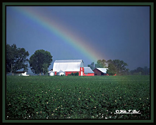 Image of red barn and field below a rainbow by Willis T. Bird.