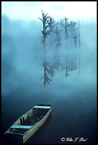 Image of dinghy and trees reflected in water in the fog by Willis T. Bird.