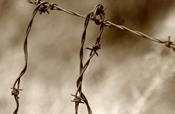 Photo of barbed wire by Noella Ballenger