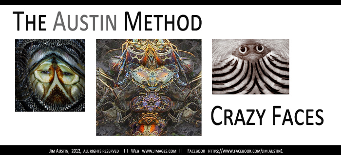 Images for The Austin Method - Crazy Faces by Jim Austin