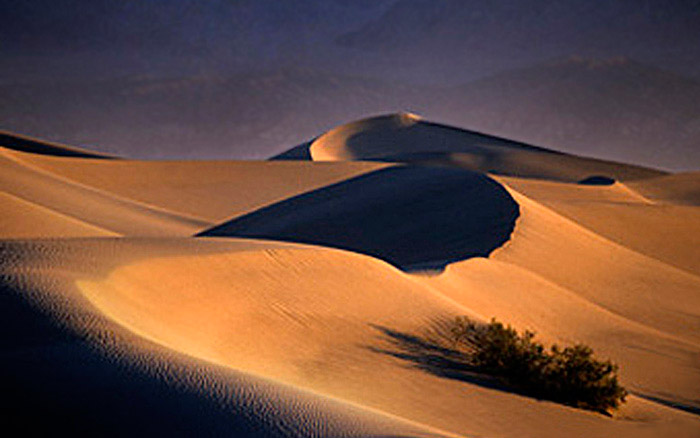 Photo of early morning light on the sand dunes of Death Valley by Noella Ballenger