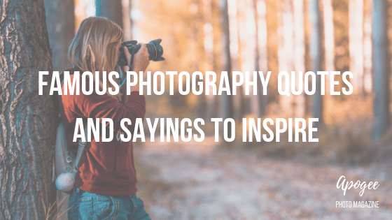 Famous Photography Quotes And Sayings To Inspire