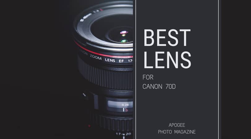 Recensie Lagere school Bijdragen Best Lens for Canon 70D - Apogee Photo Magazine