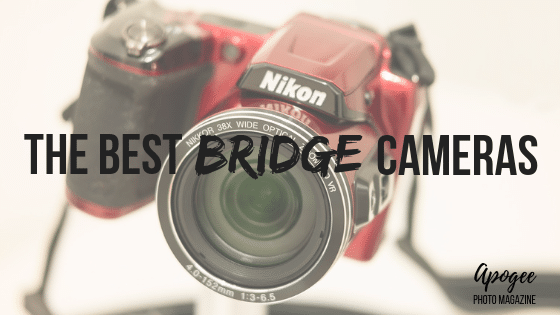 Best bridge cameras