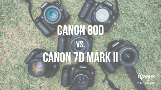 medeleerling zeven Meetbaar Canon 80D vs. Canon 7D Mark II - Apogee Photo Magazine